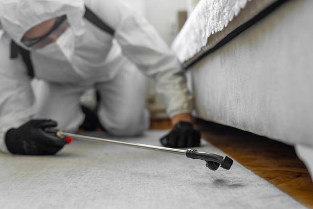 Professional Termite Control technician working in Hoxie, AR