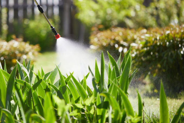 24/7 Emergency Termite Control experts in Hoxie, AR